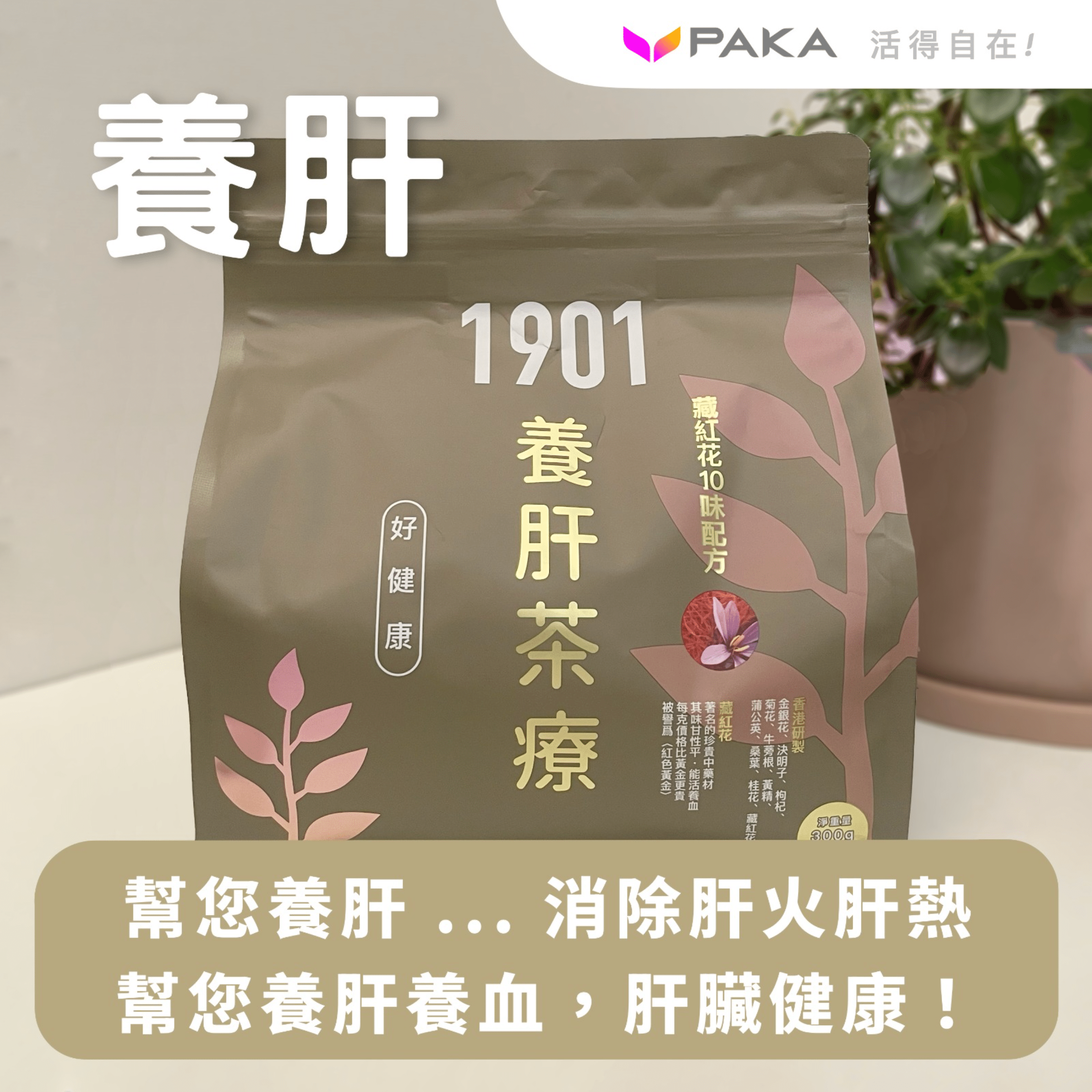 金銀花茶 2袋 - その他