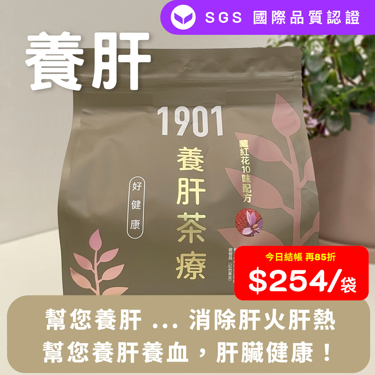 【養肝茶療】養肝護肝 . 消除肝火肝熱