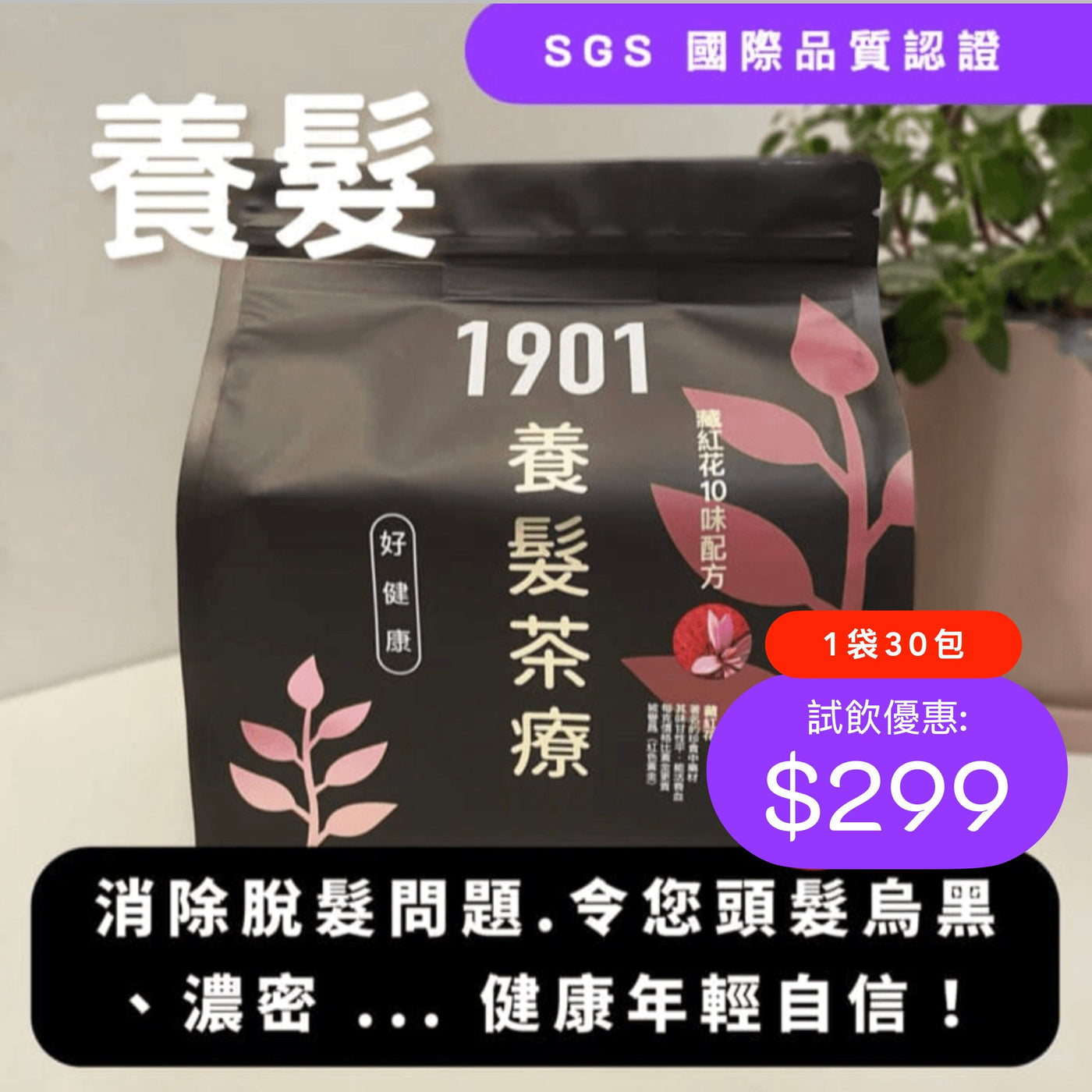 PAKA 養生【養髮茶療】🤗 $390 ~ 今日購買 自動再85折 : 1 袋只需 $332 Functional Tea 1901 8折 買1袋 (共30包) $299 (今日購買 自動再85折 : $254) 